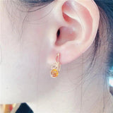 14K Rose Brown Gemstone Earrings for Women