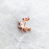 Dragonfly Stud Earrings with Stones in 925 Sterling Silver