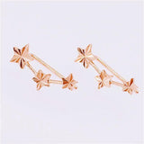 14K Rose Star Earrings - Sweet and Romantic Jewelry for Engagement Party