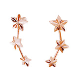 14K Rose Star Earrings - Sweet and Romantic Jewelry for Engagement Party