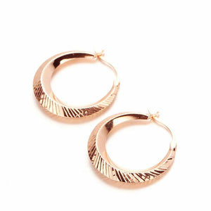 585 Rose Plated Exaggerated Earrings Classic Jewelry