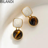 Vintage Temperament Stone Earrings 925 Silver Needle