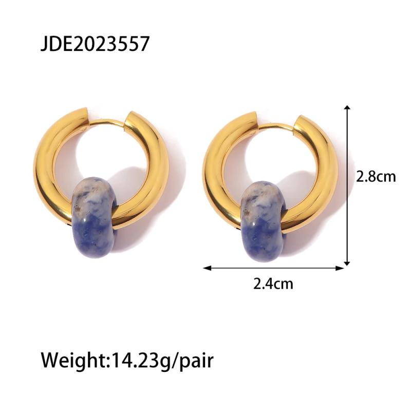 Geometric Stainless Steel Hoop Earrings for Women