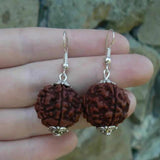 Natural Brown Rudraksha Bead Silver Earrings Hook