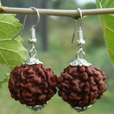 Natural Brown Rudraksha Bead Silver Earrings Hook