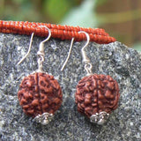 Natural Brown Rudraksha Bead Silver Earrings Hook