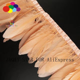 Champagne Goose Feathers 15-20CM DIY Crafting Accessory