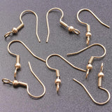 20pcs Stainless Steel Ear Hooks for DIY Jewelry Making Women/Men Earrings