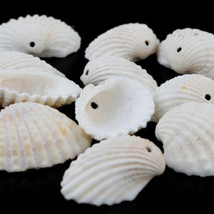 50pcs Sea Shell Beads for Jewelry Making DIY Bracelet Necklace