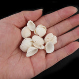 50pcs Sea Shell Beads for Jewelry Making DIY Bracelet Necklace
