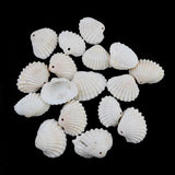 50pcs Sea Shell Beads for Jewelry Making DIY Bracelet Necklace