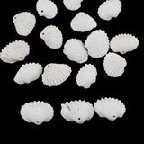 50pcs Sea Shell Beads for Jewelry Making DIY Bracelet Necklace