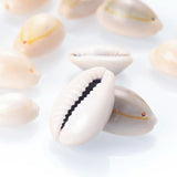 50pcs Oval Cowry Cowrie Tribal Shell Beads for Jewelry Making