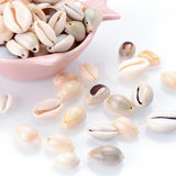 50pcs Oval Cowry Cowrie Tribal Shell Beads for Jewelry Making