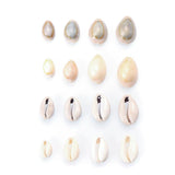 50pcs Oval Cowry Cowrie Tribal Shell Beads for Jewelry Making