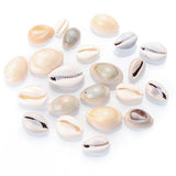 50pcs Oval Cowry Cowrie Tribal Shell Beads for Jewelry Making