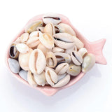 50pcs Oval Cowry Cowrie Tribal Shell Beads for Jewelry Making