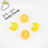 30PCS Fruit Lemon Resin Accessories DIY Handwork Pendant Phone Case Decoration