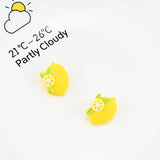 30PCS Fruit Lemon Resin Accessories DIY Handwork Pendant Phone Case Decoration