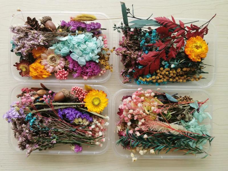 Natural Dried Flower for DIY Epoxy Resin Charm Pendant