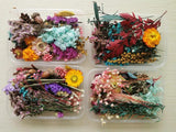 Natural Dried Flower for DIY Epoxy Resin Charm Pendant