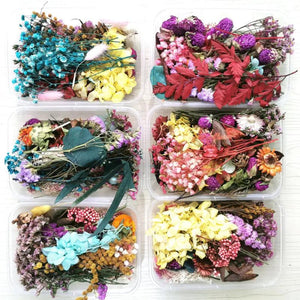 Natural Dried Flower for DIY Epoxy Resin Charm Pendant