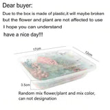 Natural Dried Flower for DIY Epoxy Resin Charm Pendant