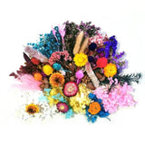Natural Dried Flower for DIY Epoxy Resin Charm Pendant
