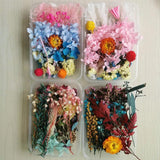 Natural Dried Flower for DIY Epoxy Resin Charm Pendant