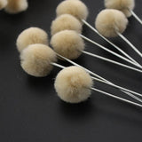 100pcs Wool Ball Brush DIY Assisted Dyeing Round Wools Brush