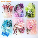 Dried Flowers for Resin Casting Mold DIY Crafts