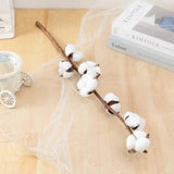 Natural Dried Cotton Flowers DIY Artificial Flowers Bouquet Home Decor