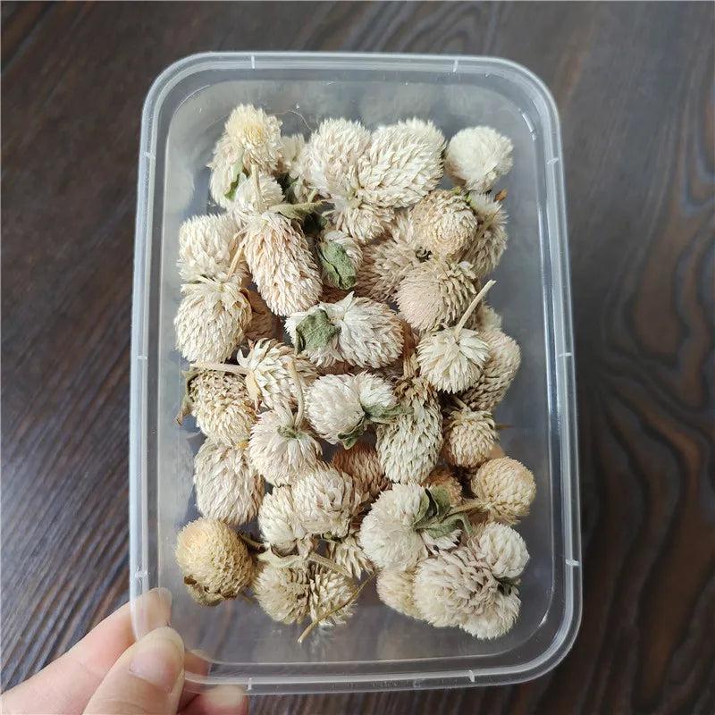 Dried Flowers Wedding Party Decoration Epoxy Resin Real Dry Plant