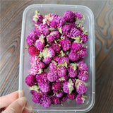 Dried Flowers Wedding Party Decoration Epoxy Resin Real Dry Plant