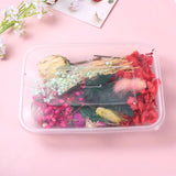 Natural Flower Mixed Home Accessories Dried DIY Wedding Decor