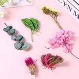 Natural Flower Mixed Home Accessories Dried DIY Wedding Decor