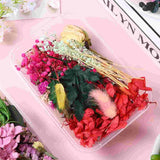Natural Flower Mixed Home Accessories Dried DIY Wedding Decor