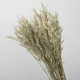 10pcs Oat Natural Dried Flowers Artificial Wedding Party DIY Craft Home Decor