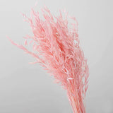 10pcs Oat Natural Dried Flowers Artificial Wedding Party DIY Craft Home Decor