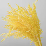 10pcs Oat Natural Dried Flowers Artificial Wedding Party DIY Craft Home Decor
