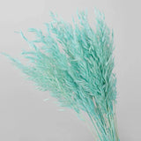 10pcs Oat Natural Dried Flowers Artificial Wedding Party DIY Craft Home Decor