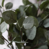 Artificial Eucalyptus Branch with Green Leaves for Home Decoration