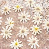 Small Silk Daisy Wedding Decor Flowers 100Pcs
