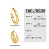 Polish Plated Hoops Earrings for Women