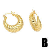 Polish Plated Hoops Earrings for Women