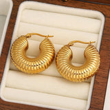 316L Stainless Steel Chunky Hoop Earrings, 18K Plated Jewelry Gift
