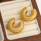 316L Stainless Steel Chunky Hoop Earrings, 18K Plated Jewelry Gift