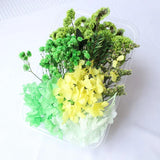 Dried Flower Petals for DIY Crafts and Wedding Accessories