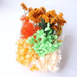 Dried Flower Petals for DIY Crafts and Wedding Accessories