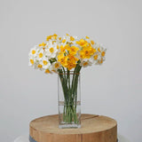 Daffodils Bundle Silk Artificial Bouquet Home Wedding Office Decor